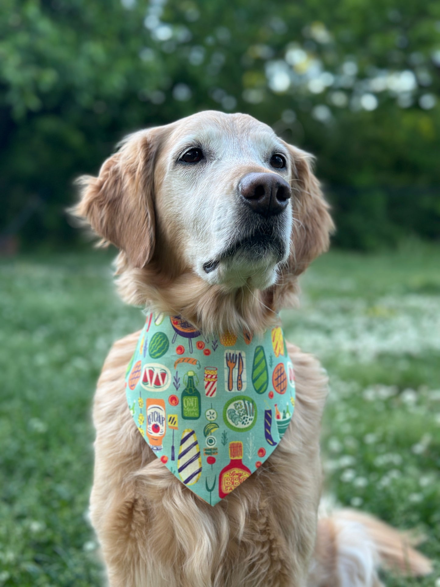 Dog wearing a colorful BBQ bandana in a grassy outdoor setting