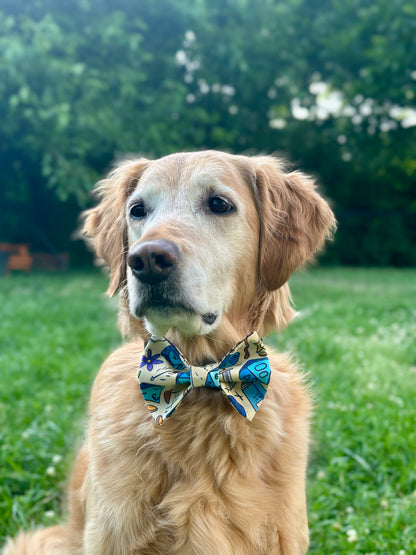 Dog wearing a colorful bow tie sitting on grass with trees in the background