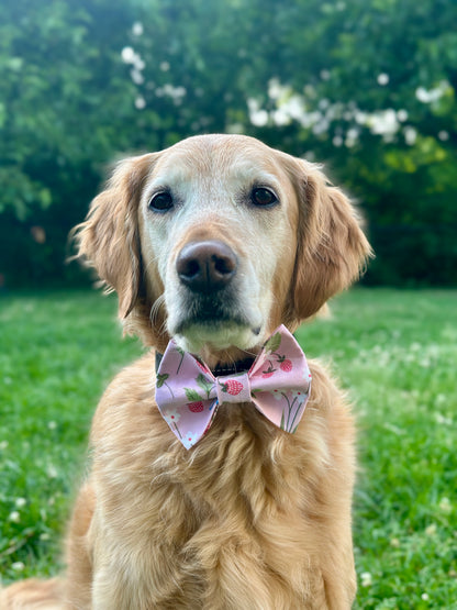 Golden Retriever wearing a pink bow tie sitting on grass with greenery in the background