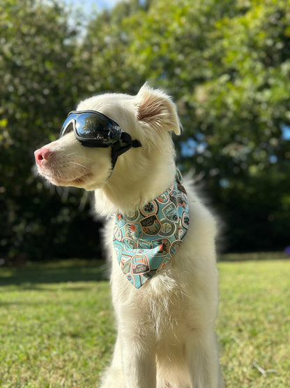 White dog wearing sunglasses and a patterned bandana outdoors
