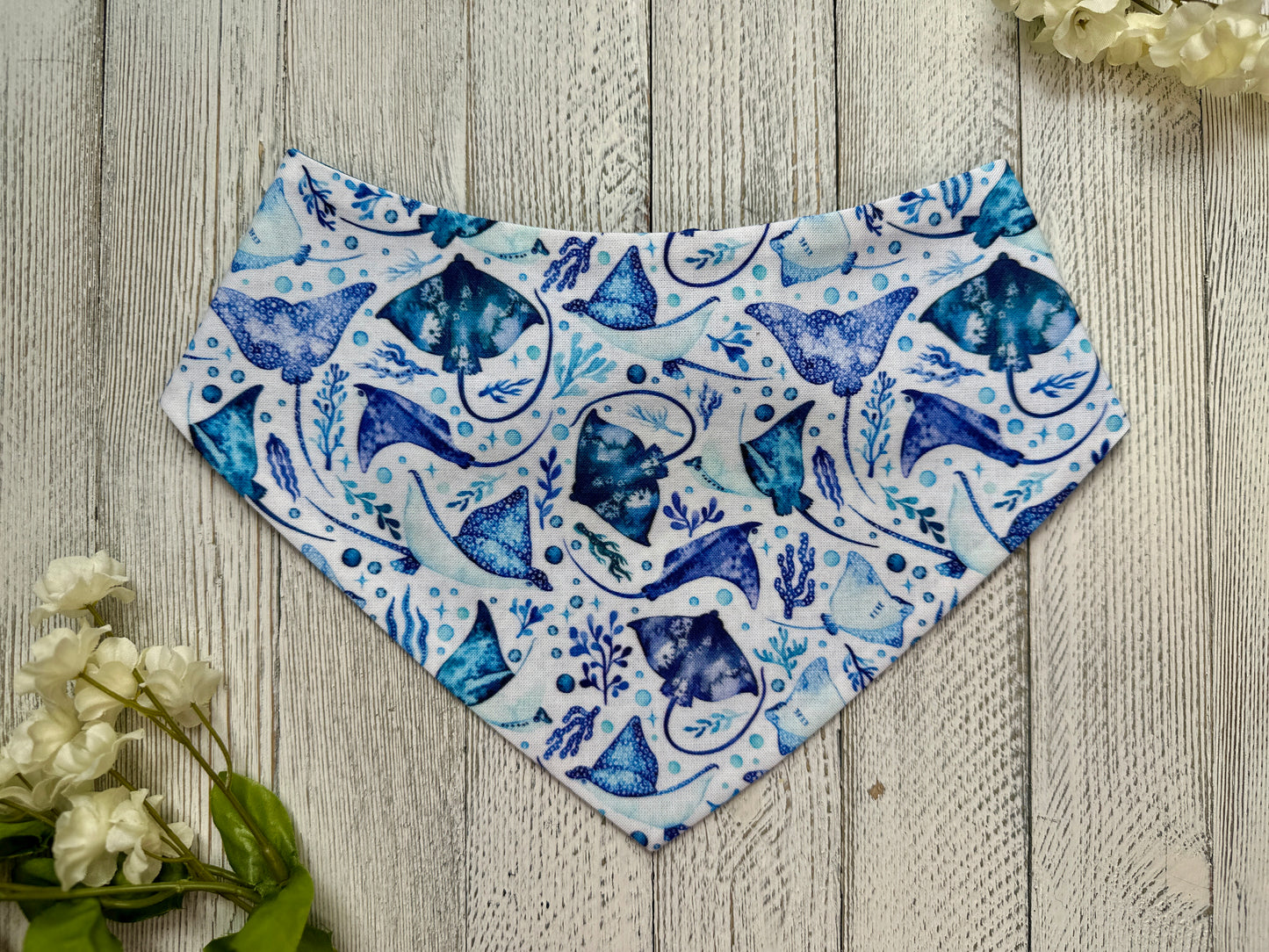 Manta Rays