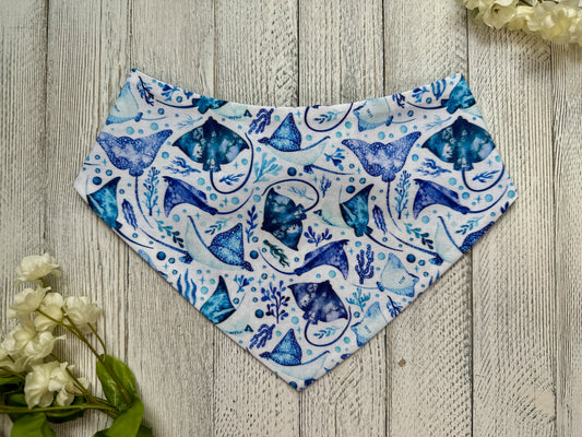 Manta Rays