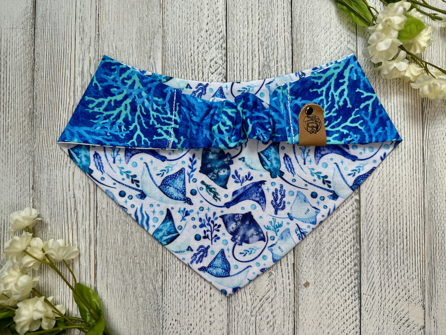 Manta Rays