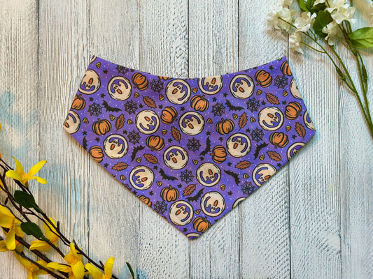 Ghostly Cookies- Reversible