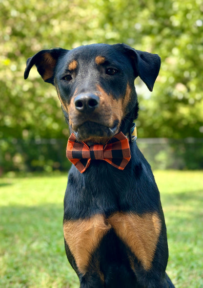 Spiced Shadows Slip-on Bow Tie