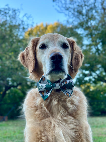 Forest Smores Slip-on Bow Tie