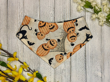 Pumpkins, Bats, and Black Cats