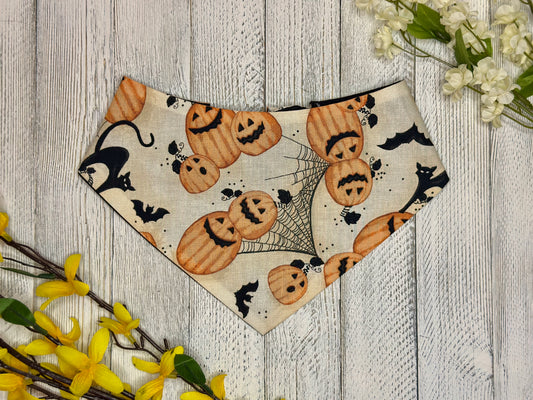 Pumpkins, Bats, and Black Cats