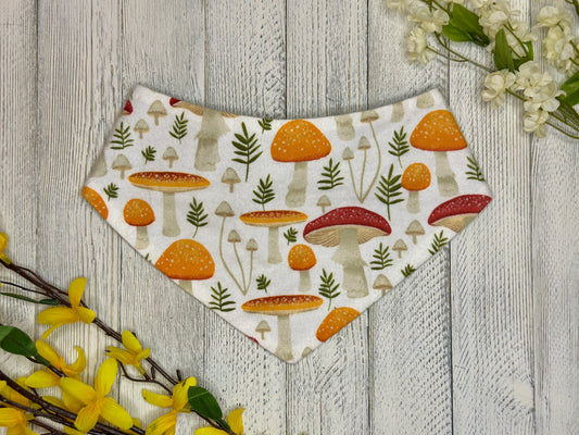 Fungi Fashion
