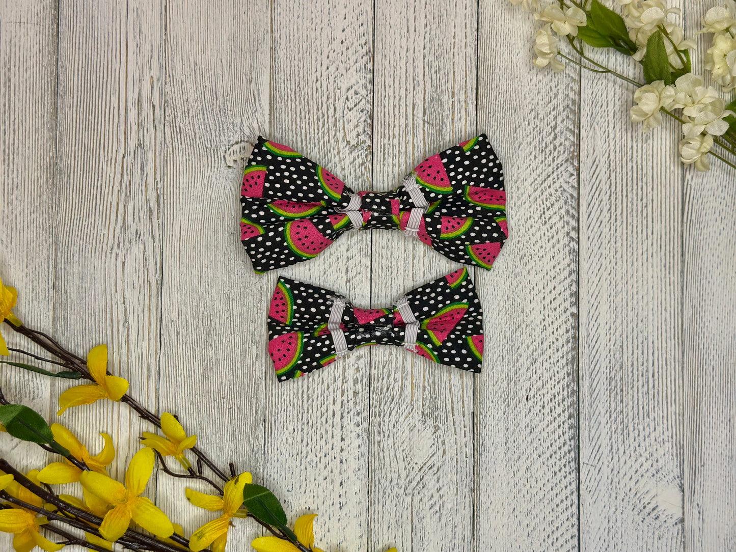 Juicy Watermelon Slip-on Bow Tie