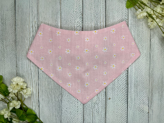 Spring Blush