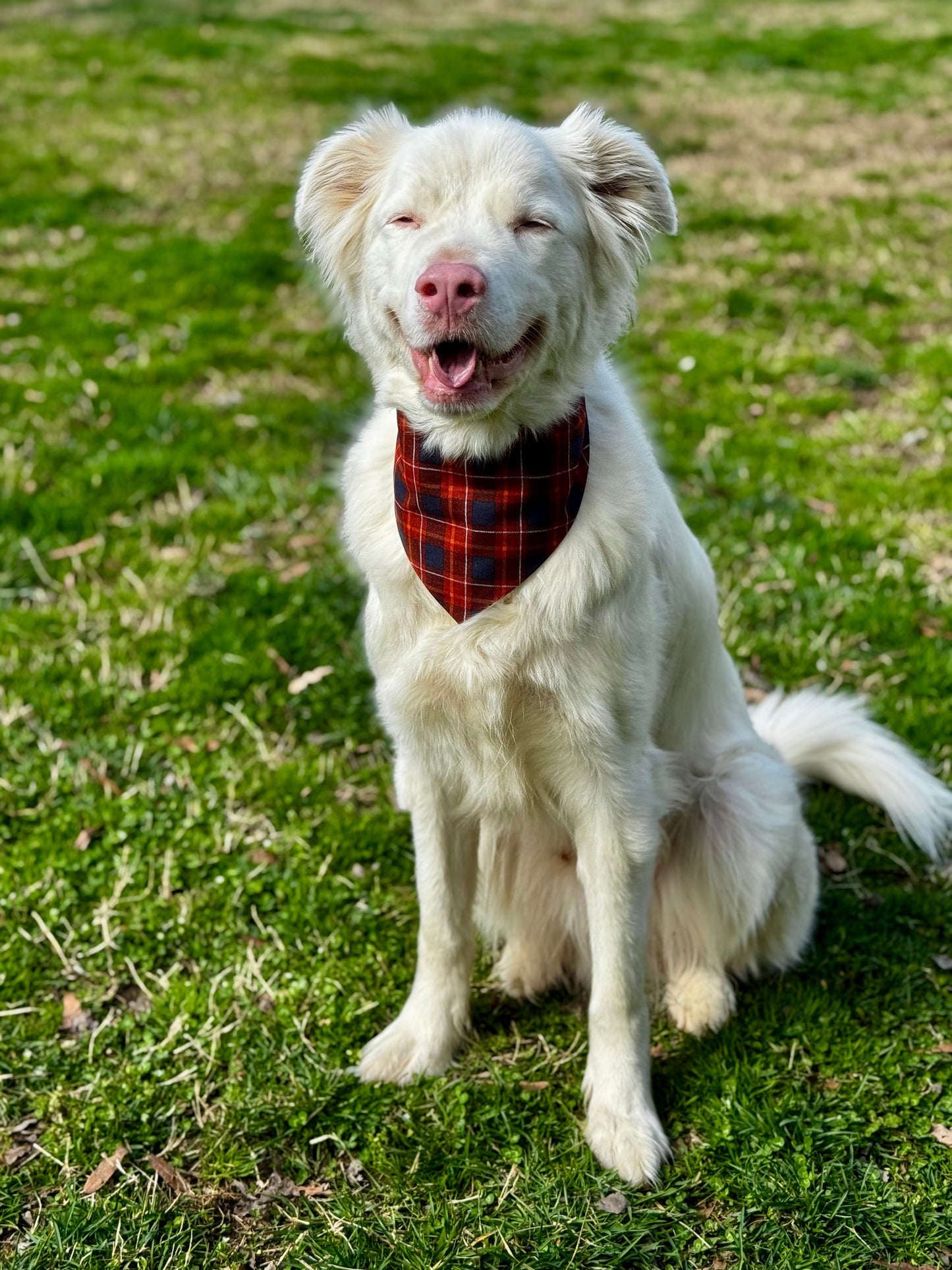 Fall Plaid