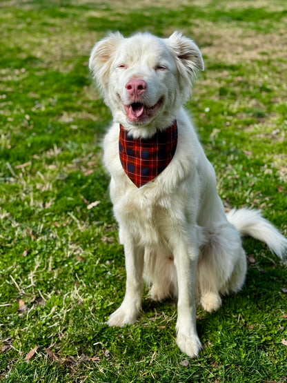 Fall Plaid