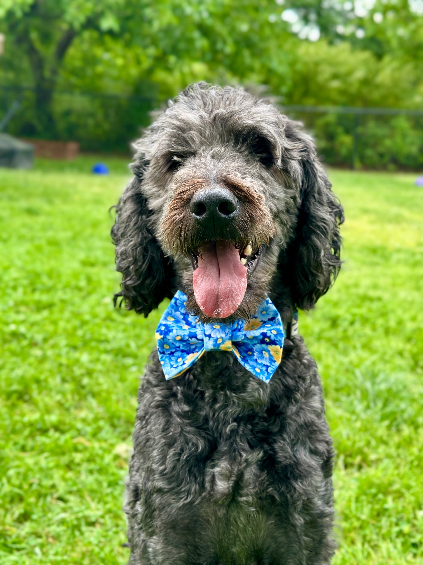 Sunny Blooms Slip-on Bow Tie