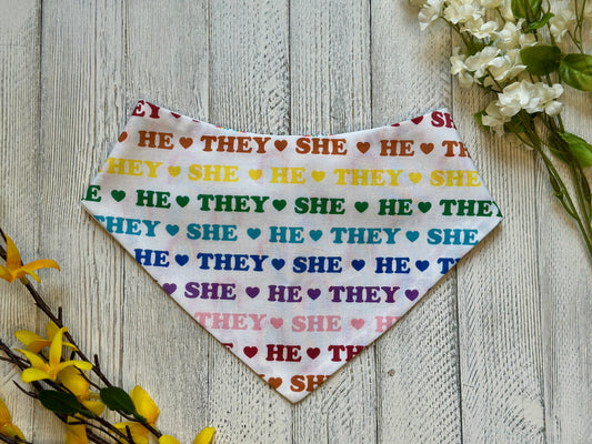 Pronouns Pride- Reversible