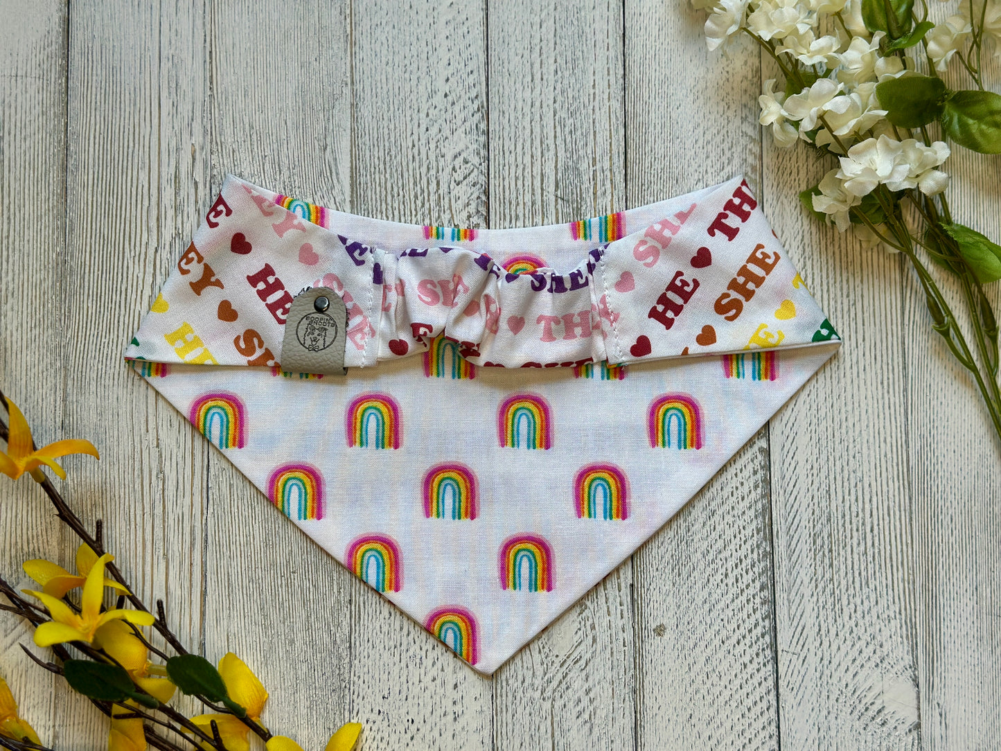 Pronouns Pride- Reversible