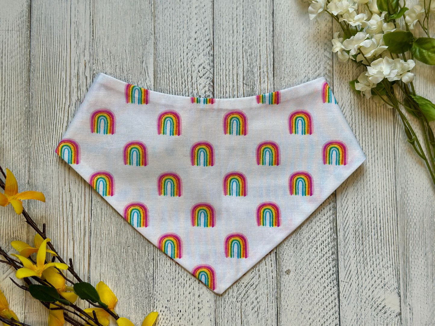 Pronouns Pride- Reversible