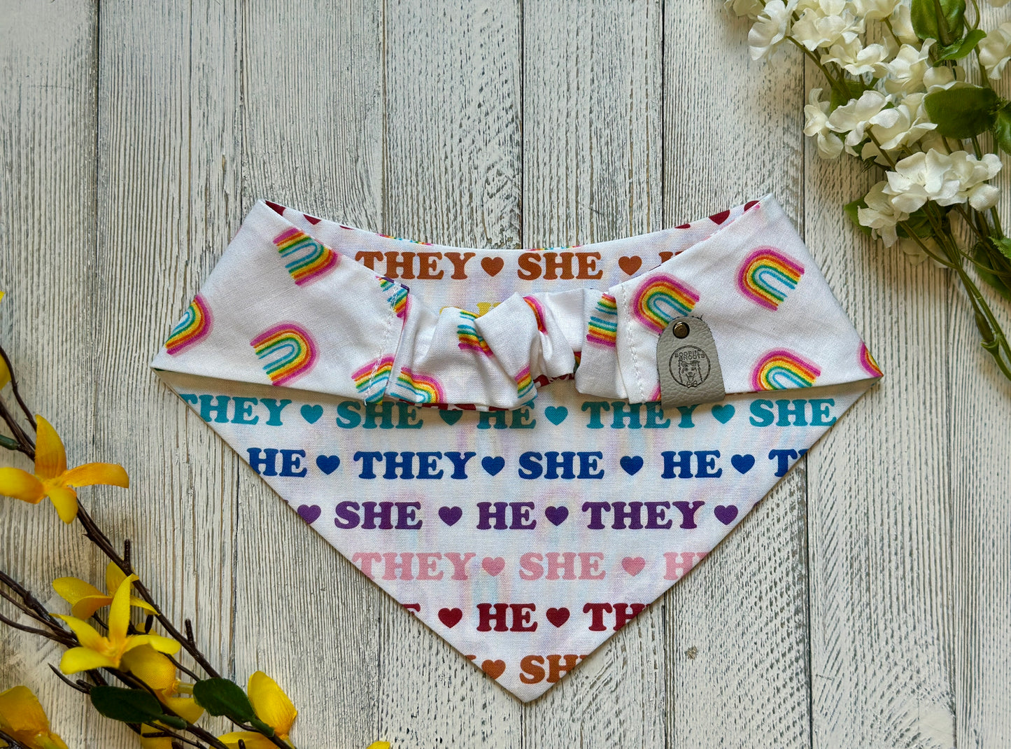 Pronouns Pride- Reversible