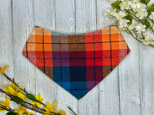 Rainbow Plaid