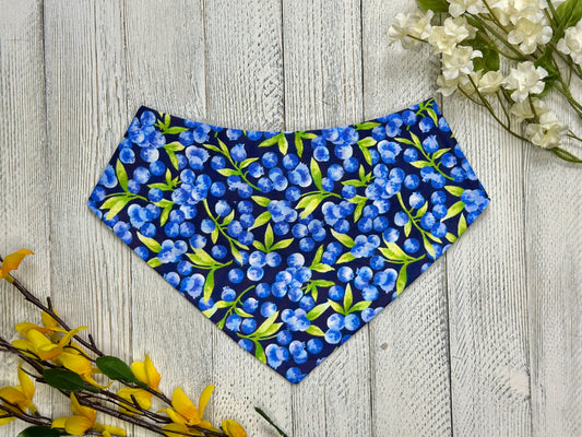 Blueberry Vine- Reversible