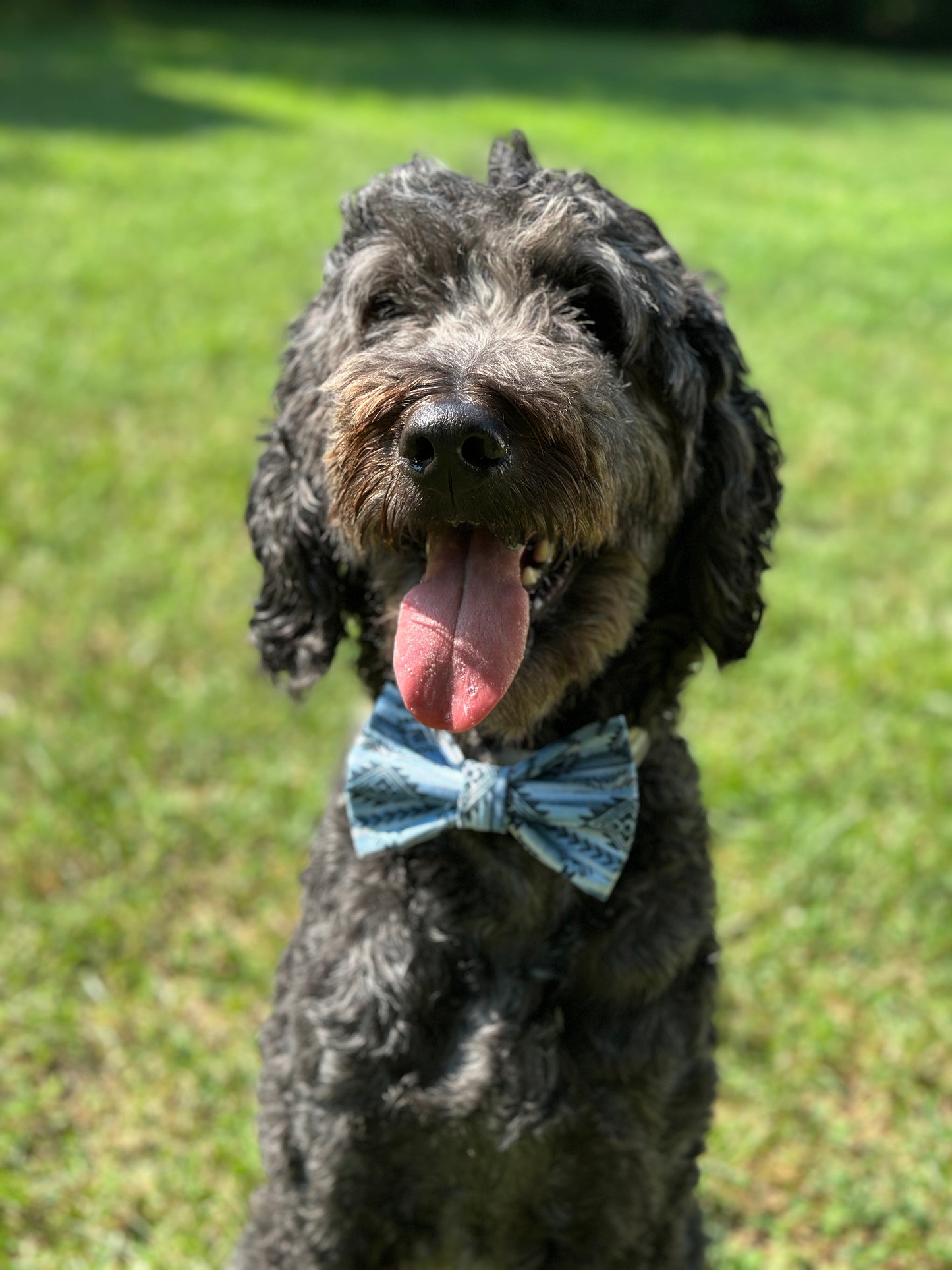 Aztec Slip-on Bow Tie