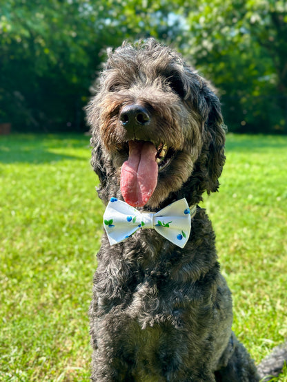 Field of Blueberries Slip-On Bow Tie