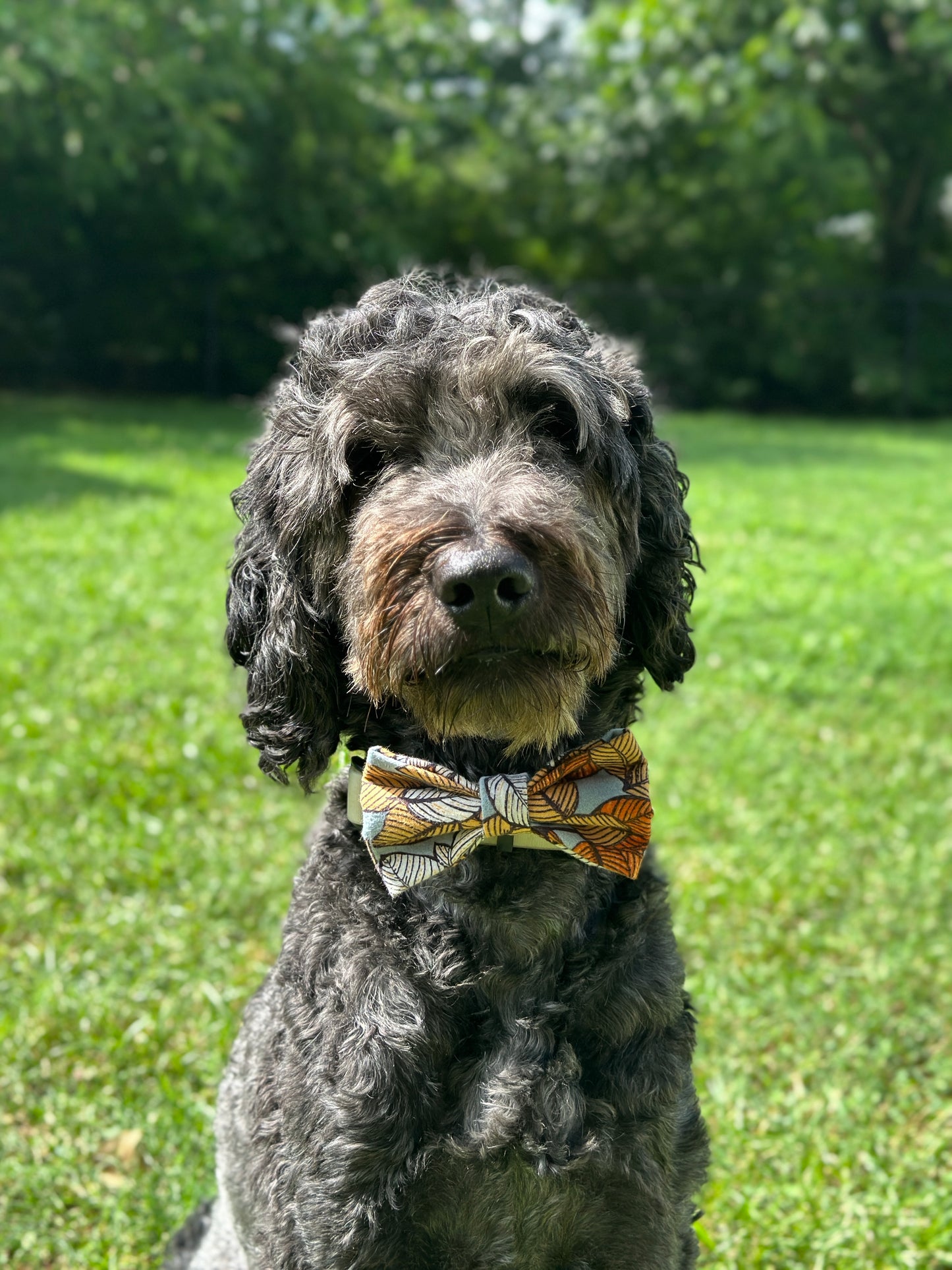 Leaves Galore Slip-on Bow Tie