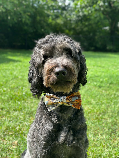 Leaves Galore Slip-on Bow Tie