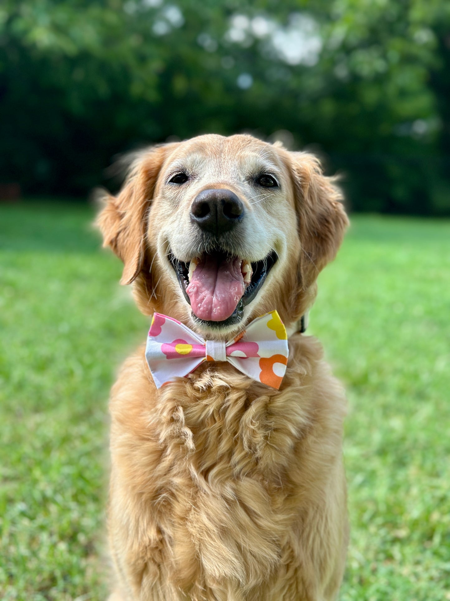 Retro Daisy Slip-on Bow Tie