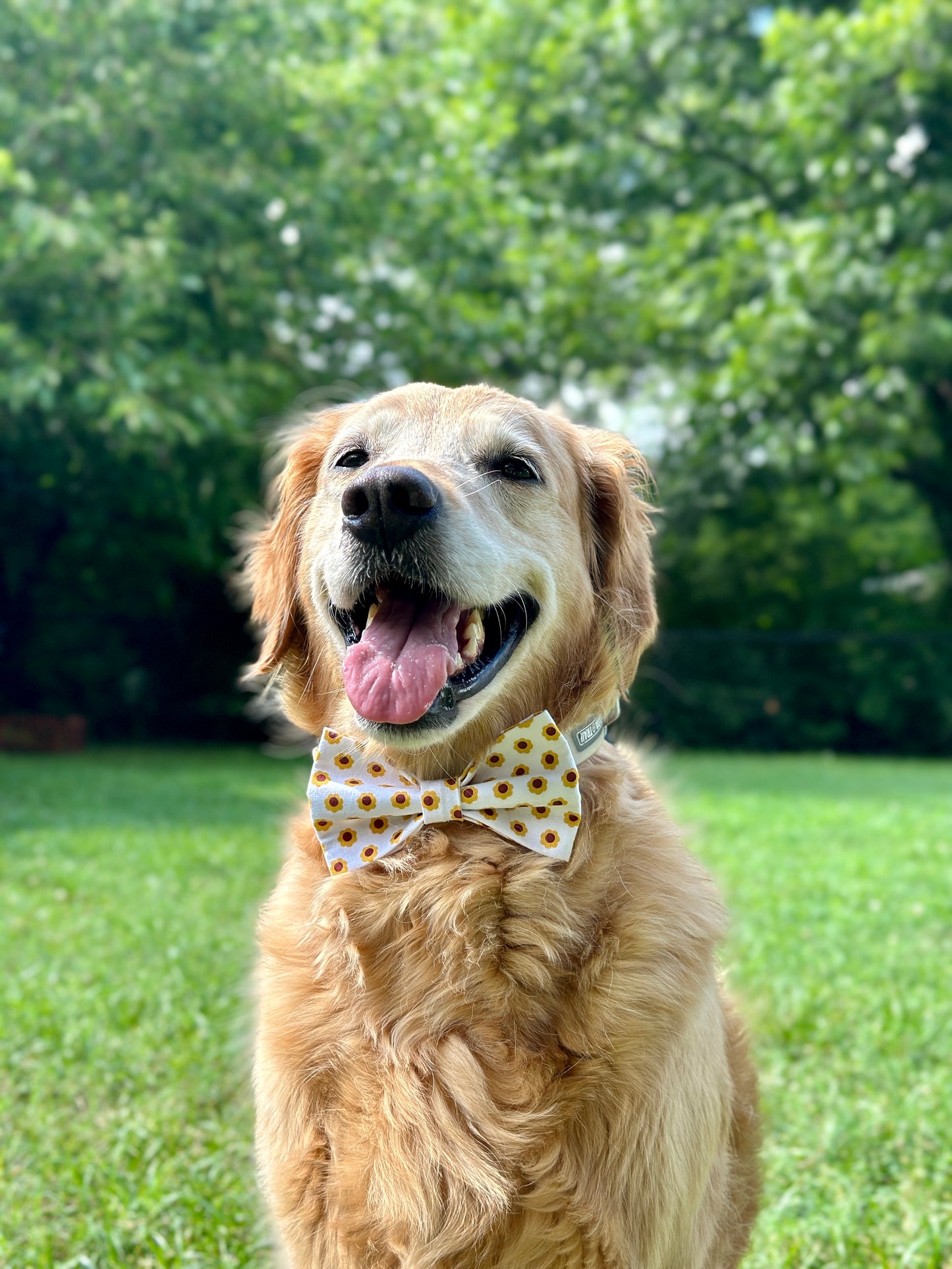 Retro Flower Slip-on Bow Tie