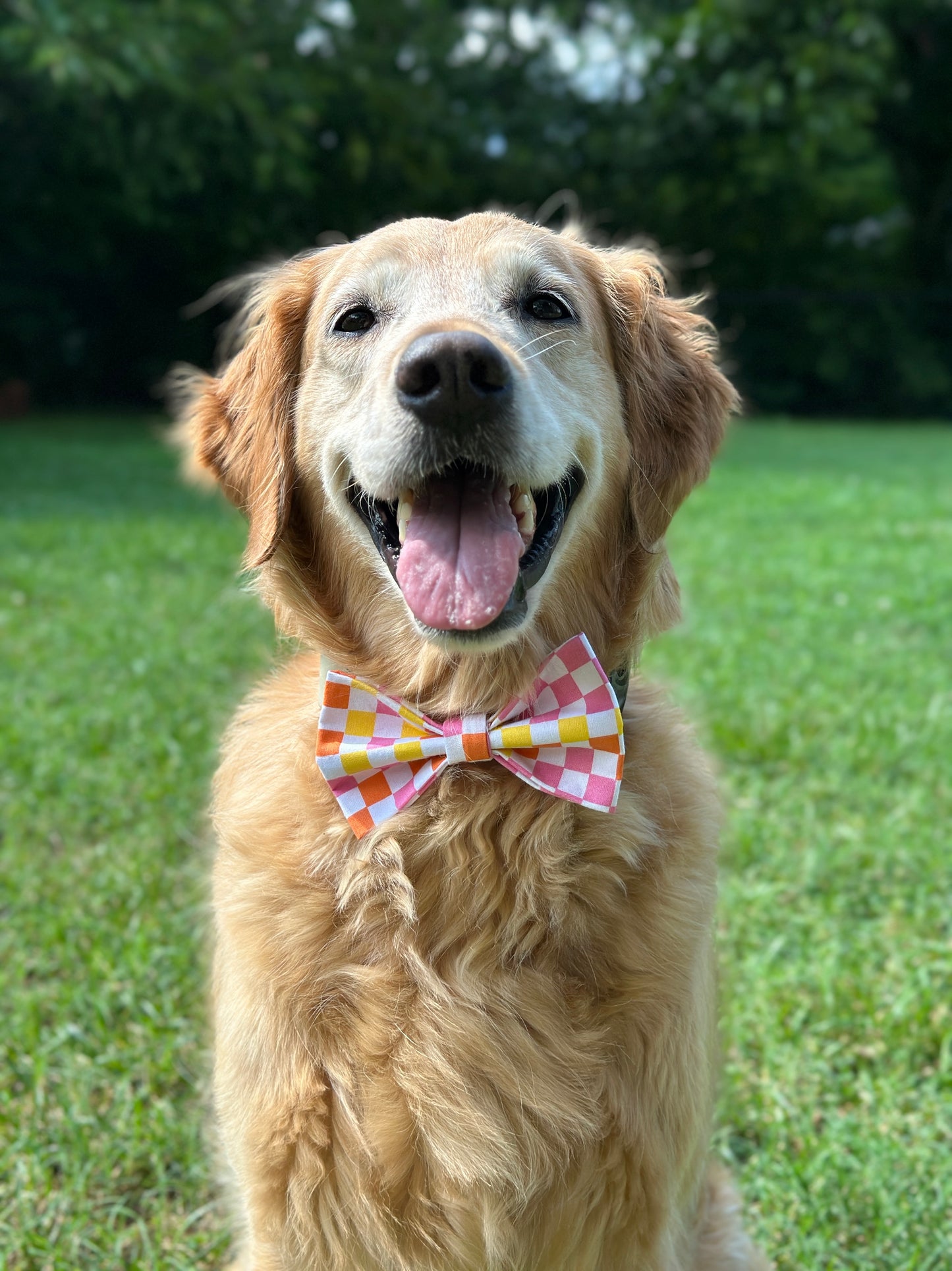 Retro Checkered Slip-on Bow Tie