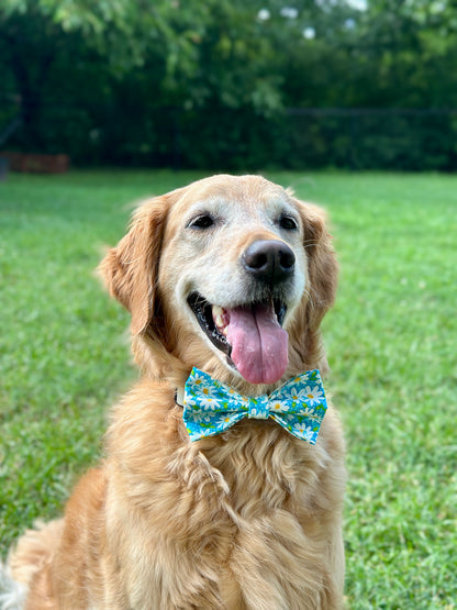 Vibrant Daisy Clip-on Bow Tie