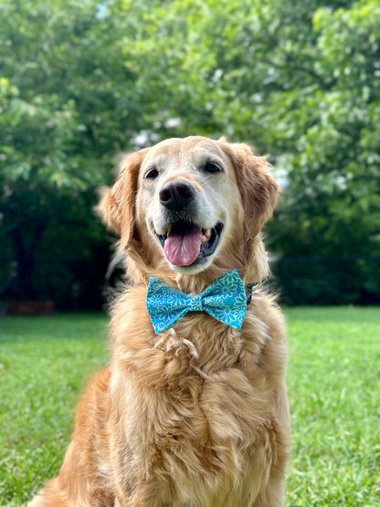 Vibrant Blue Daisy Clip-on Bow Tie
