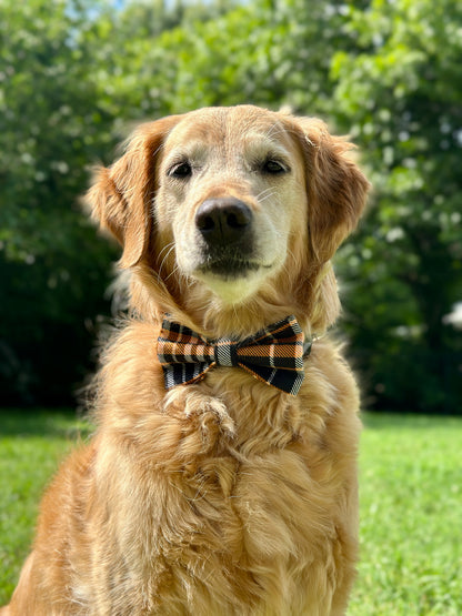 Pumpkin Plaid Clip-on Bow Tie