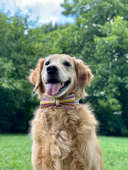 Retro Stripes Slip-on Bow Tie