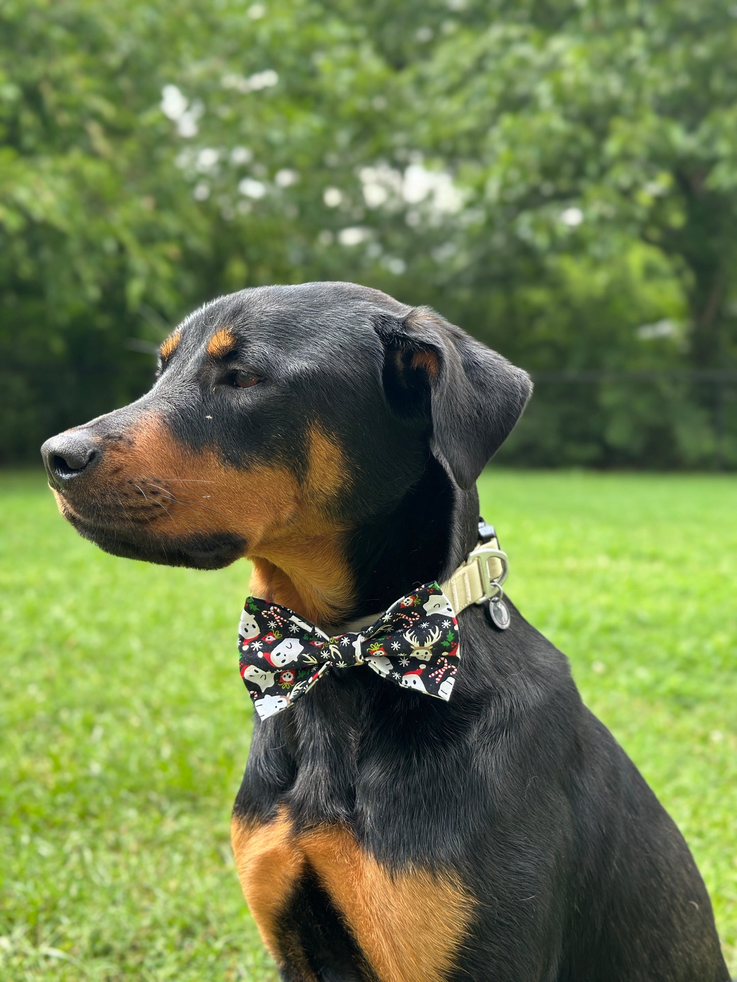 Holiday Ghosts Slip-on Bow Tie