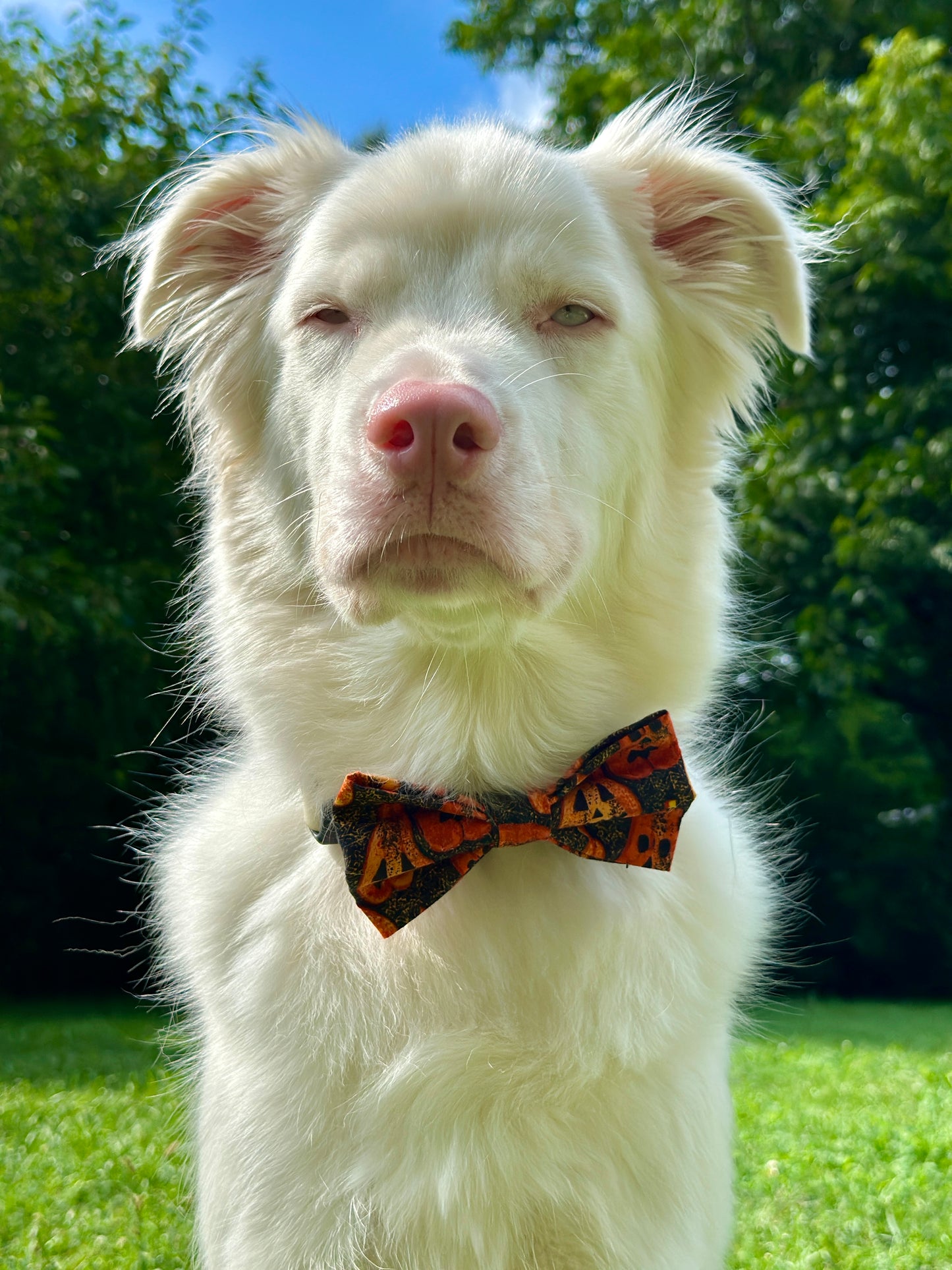 Spooky Jack-O-Lantern Clip-on Bow Tie