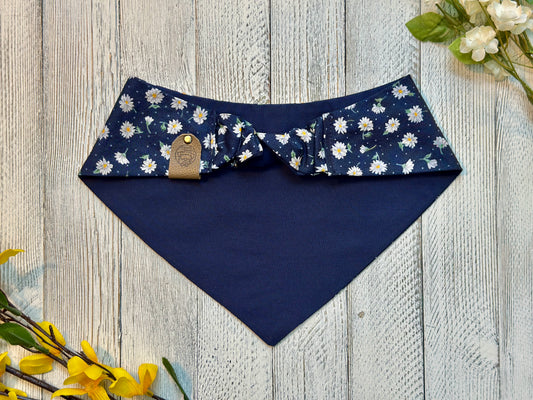Navy Daze