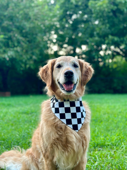 Checkered Drift- Reversible
