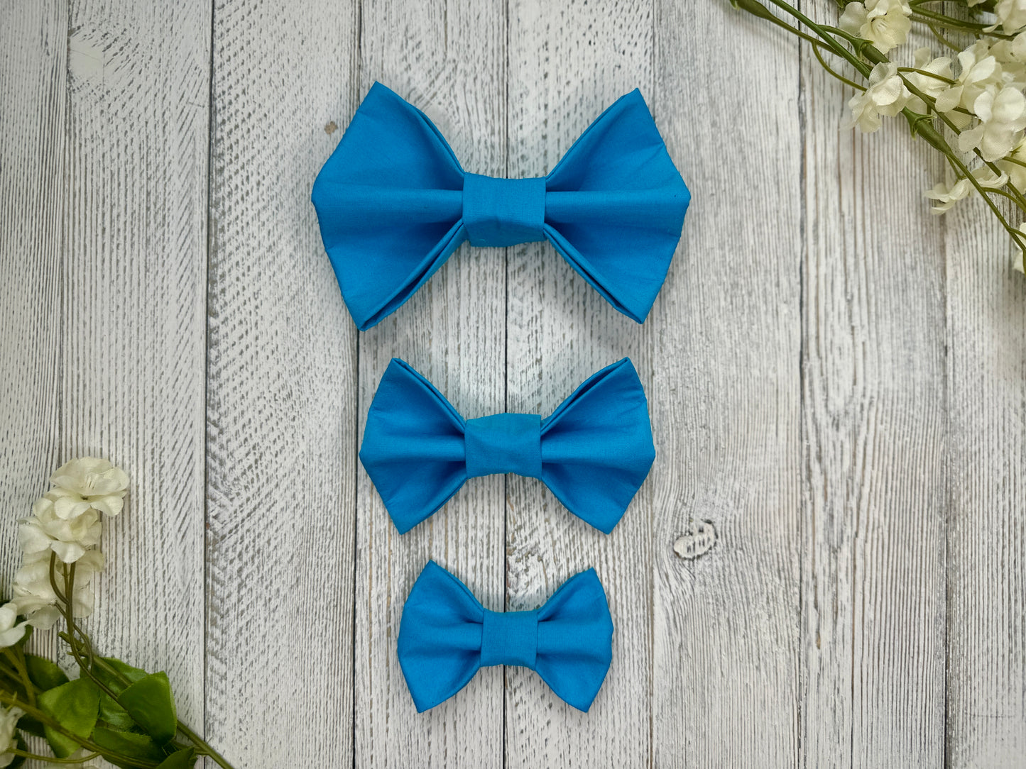 Three pet bow ties (small, medium, large) that are bright blue, displayed on a wooden surface with flowers for decoration.