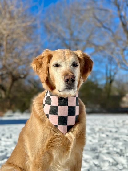 Golden retriever wearing a pink and black checkered bandana in the snow.