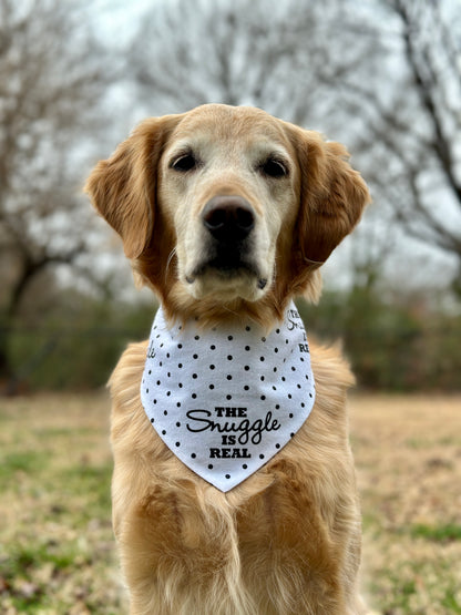 Golden retriever wearing a snuggle is real bandana in the grass. 