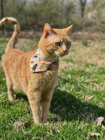 Orange tabby cat wearing the cozy camping bandana while walking through the grass. 